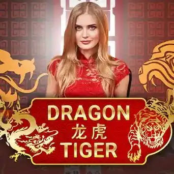 Dragon Tiger online slot from Evolution – play at psk.casino